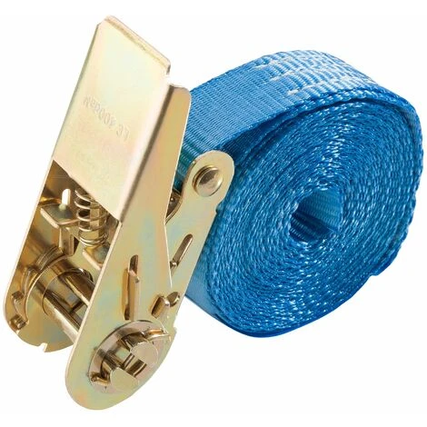 AREBOS 10 X Sangle D'Arrimage | Sangle à Cliquet Sangles | Pour Transport Moto | Camion Sangle Arrimage | Courroies De Tension Pour Camping-car | 4m X 25mm | 800 DaN | En Une Partie - Bleu – Image 3